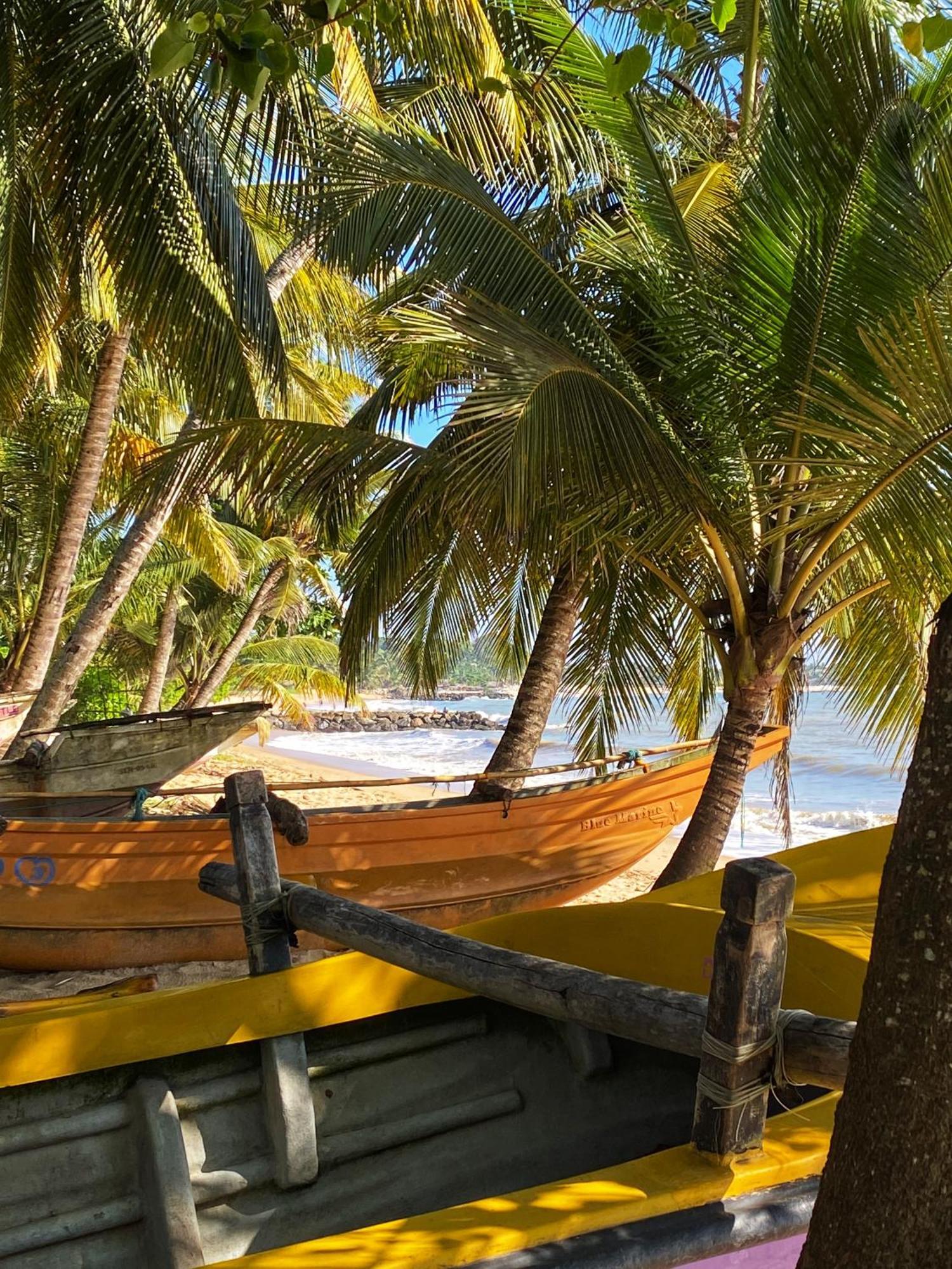 Lagoon Boutique Hotel Kanattegoda Extérieur photo